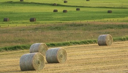 Foto de Ampliacin de 15 millones de euros para apoyar a la innovacin en el sector agroalimentario