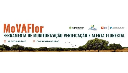 Foto de MoVAFlor rene especialistas em Mouro para debater o futuro das florestas
