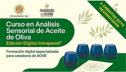 Foto de La Universidad de Jan y la Fundacin del Olivar presentan el curso 'Anlisis Sensorial de Aceite de Oliva'