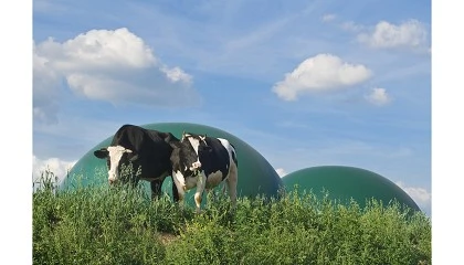 Foto de Idae y Aebig publican la Guía de Buenas Prácticas sobre biogás y biometano