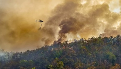 Foto de El balance de la temporada de incendios forestales 2025 revela un desafo estructural que exige prevencin y corresponsabilidad