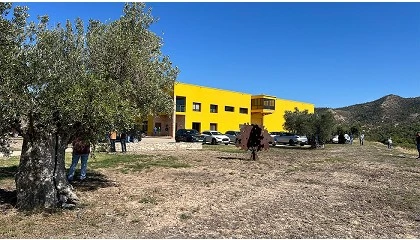 Foto de Club Lecciana, una variedad de referencia del olivar en seto
