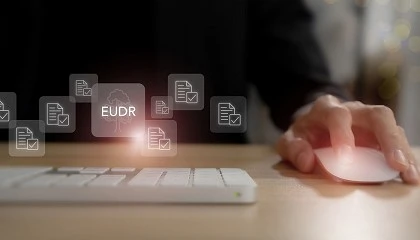 Foto de El sector europeo de la madera pide a Bruselas detener el reloj ante la nueva propuesta del Reglamento de Deforestacin de la UE