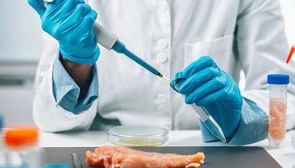 Foto de ITENE desarrolla un biosensor que detecta Listeria y Salmonella en alimentos en menos de una hora
