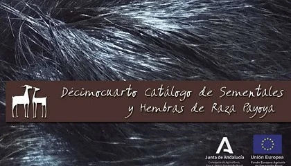 Foto de La raza caprina Payoya publica oficialmente su XIV Catlogo de Sementales y Hembras