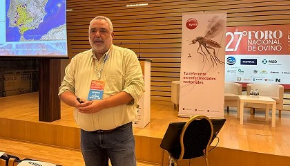 Foto de Qu hacemos con la lengua azul? Revisando la epidemiologa para tomar decisiones