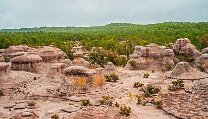 Foto de Las Titan Desert continan con su expansin mundial y presentan prueba en Mxico para 2026