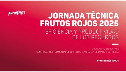 Foto de Freshuelva e Interempresas analizarn cmo mejorar la rentabilidad y la sostenibilidad en el sector de los frutos rojos