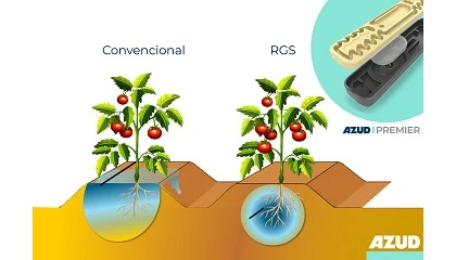 Foto de GO POMODORO: Aumentando la productividad de los recursos en la cadena de tomate para industria