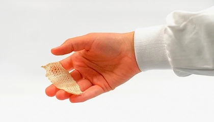 Foto de Patente española y PCT del proyecto de investigación ‘BIOCEL’ de la doctoranda Laura Freixas