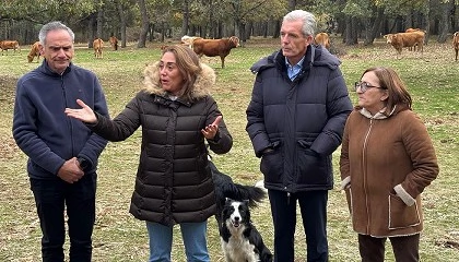 Foto de Castilla y Len destinar 10 millones de euros al nuevo Plan de Ganadera Extensiva