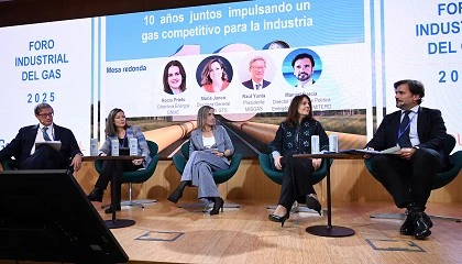 Foto de GasINDUSTRIAL reivindica un gas competitivo como base para una transicin energtica viable