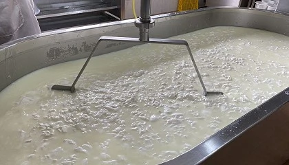 Foto de Los precios de la leche de cabra suben un 12% ante la debacle productiva en el campo