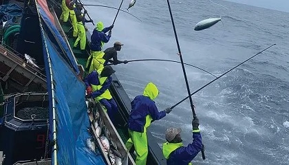 Foto de La Asociación de Atuneros Cañeros Dakartuna logra un sello pionero de MSC por su pesca sostenible