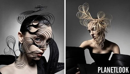 Foto de Rizoma Collection