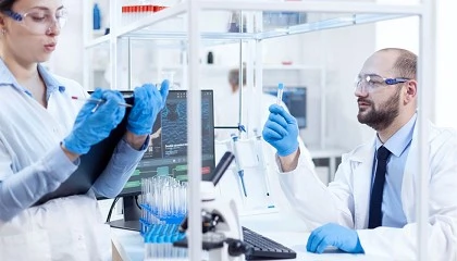 Foto de Dos proyectos de Euskadi reciben prestigiosos ERC Synergy Grant