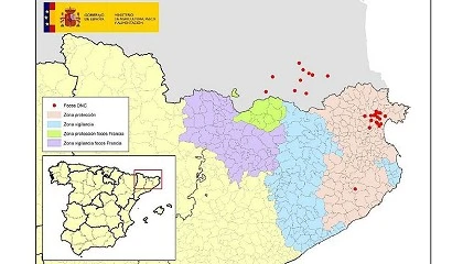 Foto de Se multiplican los casos de dermatosis nodular contagiosa en el sur de Francia