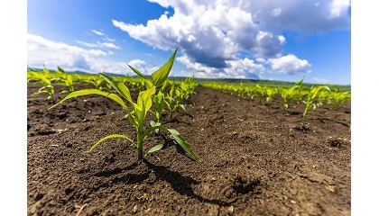 Foto de La conductividad eléctrica aparente del suelo como herramienta de apoyo en Agricultura de Precisión