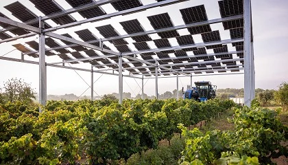 Foto de GO SolarWine: la revolución agrovoltaica que transforma el viñedo en fuente de energía y conocimiento