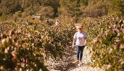 Foto de Covias se incorpora a la marca Producto Cooperativo en su 60 aniversario