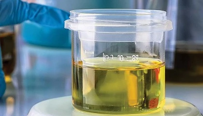 Foto de Olot Meats transformará grasa porcina en biocombustible para aviación