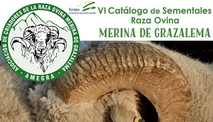 Foto de Nuevas valoraciones de casena en el VI Catlogo de Sementales de Merina de Grazalema