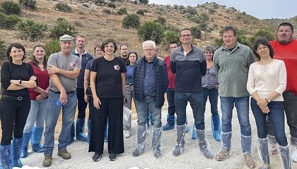 Foto de La Cabra Malaguea sirve de referencia para los ganaderos del sur de Francia
