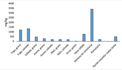 Foto de Beta�na en alimentaci�n de rumiantes