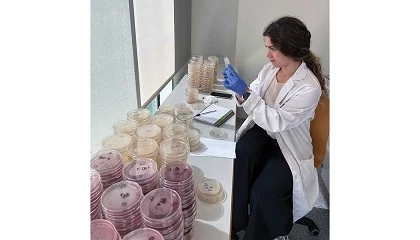 Foto de Varbiopac: dos res�duos agr�colas �s embalagens sustent�veis que prolongam o prazo de validade dos alimentos