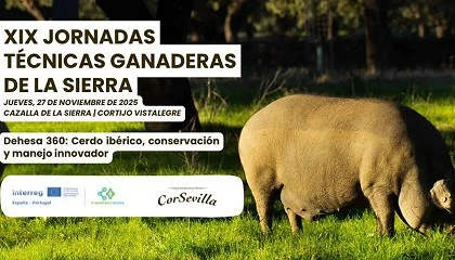 Foto de Anlisis del cerdo ibrico en las XIX Jornadas Tcnicas Ganaderas de la Sierra