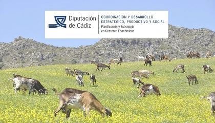 Foto de El proyecto Fortalecimiento Payoya permite una mejora organizativa en la asociacin