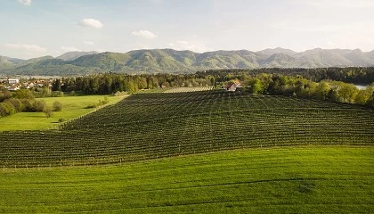 Foto de El MAPA mantiene en 2026 el presupuesto de 315 millones de euros para el Plan de Seguros Agrarios