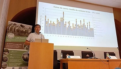 Foto de Claves del futuro en ovino de carne: pastoreo regenerativo y nuevas tecnologas