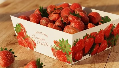 Foto de Un estudio compara la huella de carbono de bandejas para fruta fabricadas con cartn barrera y con plsticos PET y r-PET