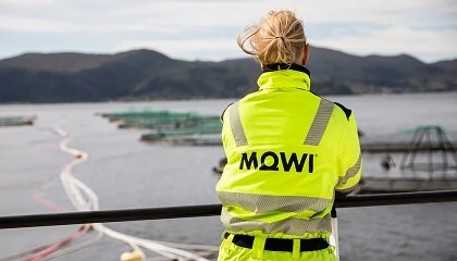 Foto de Mowi completa la adquisición de Nova Sea y pasa a controlar el 95% de la compañía