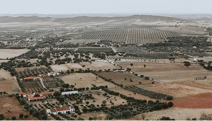Foto de Desertificao rural motiva novo alerta da AJAP