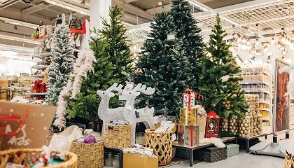 Foto de Plantas, tendencias y experiencias que transforman la Navidad