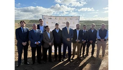 Foto de Caja Rural de Jan impulsa un proyecto internacional para transformar el olivar