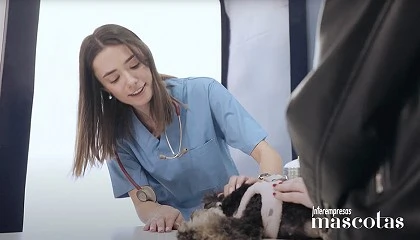 Foto de Elanco recibe el premio Bronze Stevie Award por su campaa del Da Mundial de la Veterinaria 2025