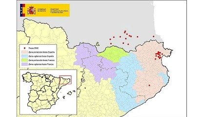 Foto de España ya cumple un mes sin nuevos casos de dermatosis nodular contagiosa