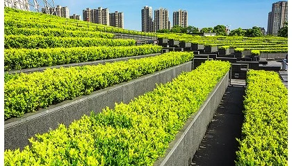 Foto de El sector del paisaje y la jardinería encara 2026 con más unidad, profesionalización y demandas