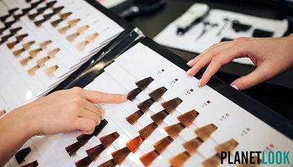 Foto de Estas son las l�neas de color que marcaron la diferencia este 2025