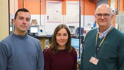 Foto de Cinco estructuras cristalinas distintas se autoensamblan por primera vez en un único polímero