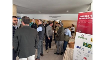 Foto de Claves para el crecimiento del sector de los berries: eficiencia, innovacin y colaboracin para impulsar el consumo