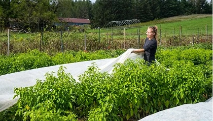 Foto de Agricultura biol�gica cresce r�pido, mas enfrenta desafios decisivos