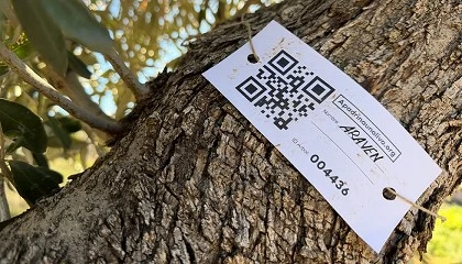 Foto de Araven se une al proyecto ‘Apadrina un olivo’ para impulsar la sostenibilidad y el desarrollo rural