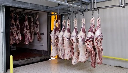 Foto de El brusco descenso de la produccin de carne levanta la alarma en los mataderos