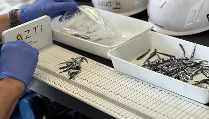 Foto de La abundancia de anchoa juvenil en el Golfo de Bizkaia duplica la media histórica