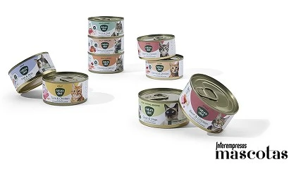 Foto de La comida húmeda para gatos ya no es un “capricho”