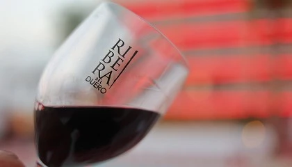 Foto de La fuerza de un territorio: Ribera del Duero dispara su impacto econmico, social y fiscal